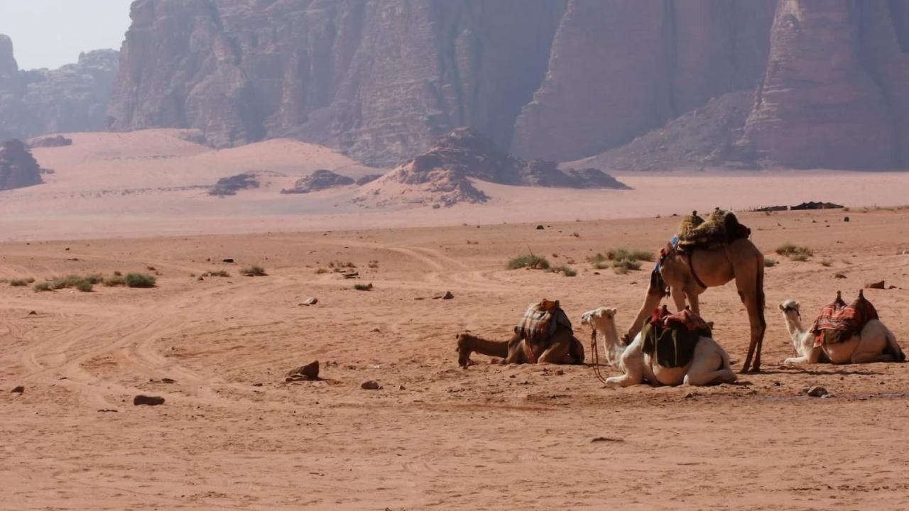 Bedouin Memories Camp Hotel วาดิรัม ภายนอก รูปภาพ